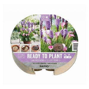 Purple & Pink Shades Ready to Plant Biodegradable Tray 24cm (19 Bulbs)