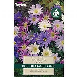 Anemone blanda Mixed (20 Bulbs)