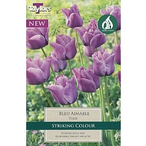 Tulip 'Bleu Aimable' (6 Bulbs)