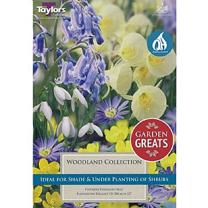 Woodland Bulb Collection (40 Bulbs)