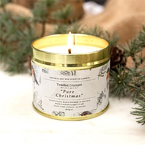 Toasted Crumpet Pure Christmas (Robin & Eucalyptus Pure) Candle in a Matt Gold Tin