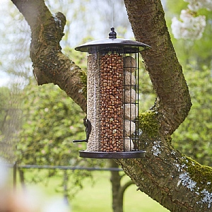 Tom Chambers Trinity Bird Feeder