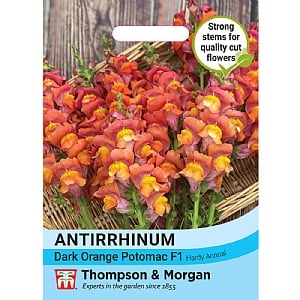 Thompson & Morgan Antirrhinum majus Dark Orange Potomac F1 Seeds