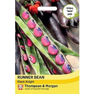 Thompson & Morgan Runner Bean Black Knight Seeds