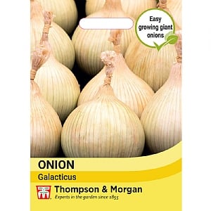 Thompson & Morgan Onion Allium cepa Galacticus Seeds