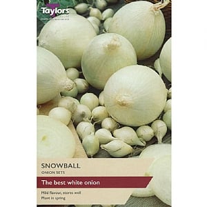 Onion Snowball (Pack of 50)