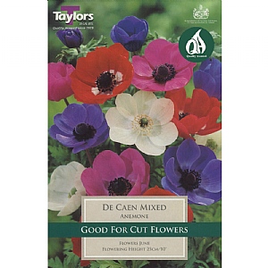 Anemone coronaria 'De Caen Mixed' (15 Bulbs)