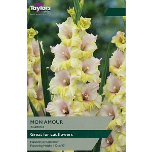 Gladioli 'Mon Amour' (10 Corms)