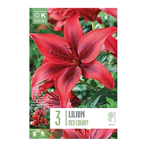 Lilium 'Red County' (3 Bulbs)