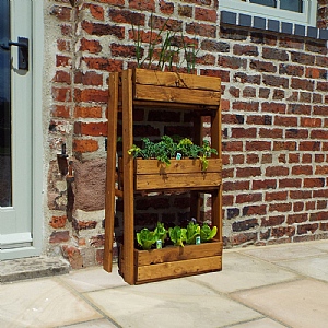 Charles Taylor Country Kitchen Herb Garden - Regular