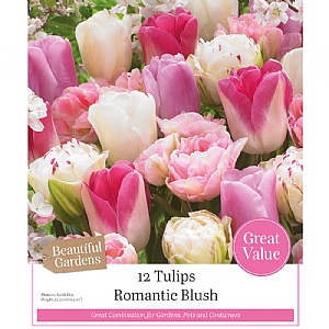 Romantic Blush Tulip Collection (12 Bulbs)