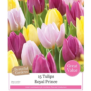 Royal Prince Tulip Collection (15 Bulbs)