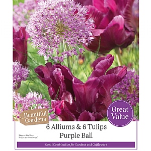 Purple Ball Allium & Tulip Collection (12 Bulbs)