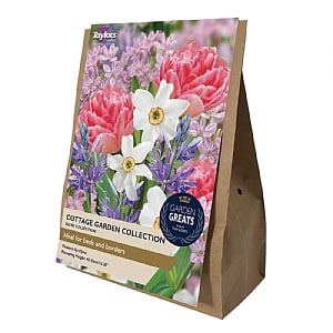 Cottage Garden Bulbs Collection (50 Bulbs)