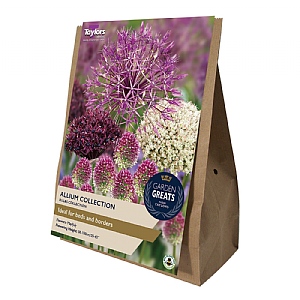 Allium Bulbs Collection (50 Bulbs)