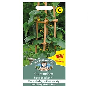 Mr Fothergills Cucumber Patio Snacker F1 Seeds