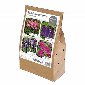 Wildlife Blooms Purple & Pink "Galaxy" Collection (30 Bulbs)