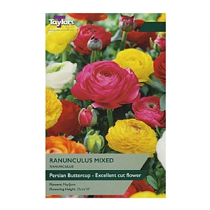 Ranunculus Mixed (12 Bulbs)