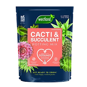 Westland Peat Free Cacti & Succulent Potting Mix 4L