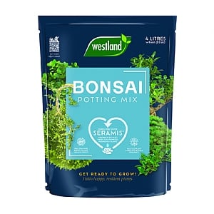 Westland Peat Free Bonsai Potting Mix 4L