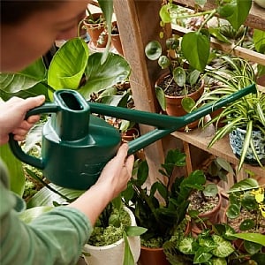 Haws The Sutton Splash Watering Can - Green (2.3L)