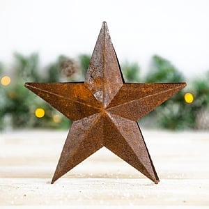 Rust Brown Metal Twins Star (18cm)