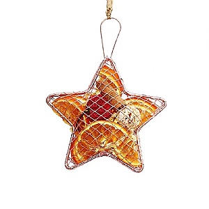 Jormaepourri Hanging Metal Star - Rose Gold