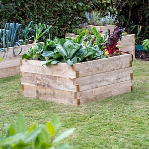 Forest Caledonian Square Raised Bed (90cm x 90cm)