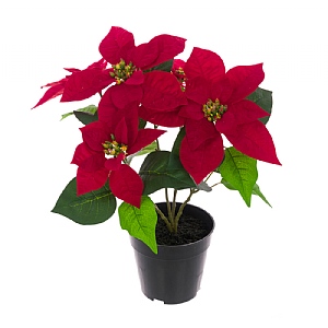 Floralsilk Potted Faux Poinsettia (43cm)