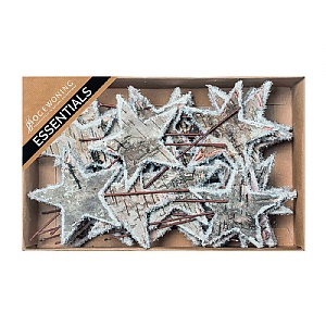 Snowy Birchbark Star Picks - Box (8cm)