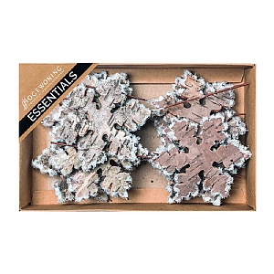 Snowy Birchbark Snowflake - Box (8cm)