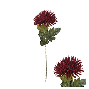 Spider Mum Stem - Burgundy (58cm)