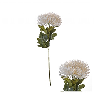 Spider Mum Stem - Ivory (58cm)