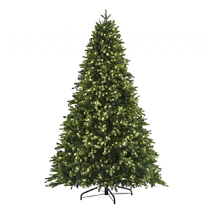 8.5ft Pre-Lit Oakley Fir Artificial Christmas Tree