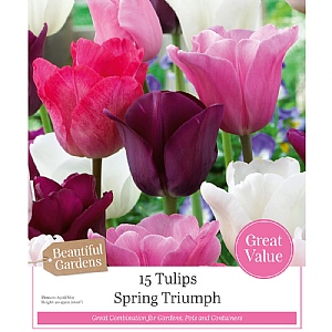 Spring Triumph Tulip Collection (15 Bulbs)