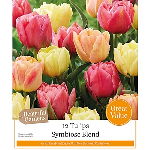 Symbiose Blend Tulip Collection (12 Bulbs)