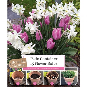 Patio Container Tulip & Narcissus Collection (15 Bulbs)