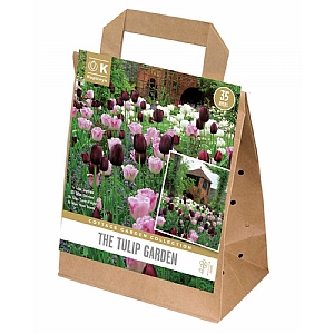 The Tulip Garden Bulb Collection (35 Bulbs)