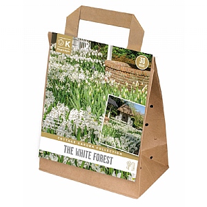 The White Forest Bulb Collection (30 Bulbs)