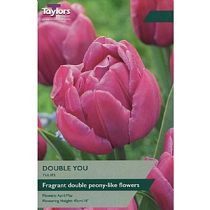 Tulip 'Double You' (8 Bulbs)