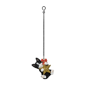 Vivid Arts Hanging Star Black & White Kitten