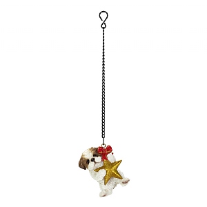 Vivid Arts Hanging Star Shih Tzu