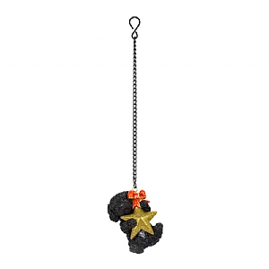 Vivid Arts Hanging Star Black White Cockapoo