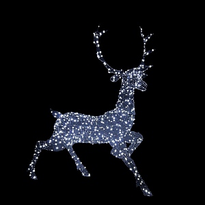 Noma BlackDuo Woburn Stag (1.4m)