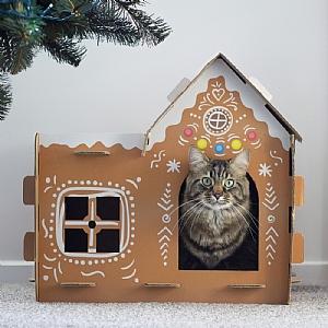 Rosewood Build Your Own Gingerbreadhouse Cat Scratcher