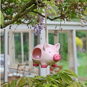 Wildlife World Curlie the Pig Ceramic Bird Feeder