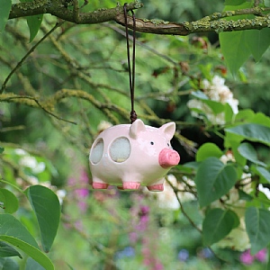 Wildlife World Curlie the Pig Ceramic Wool Dispenser