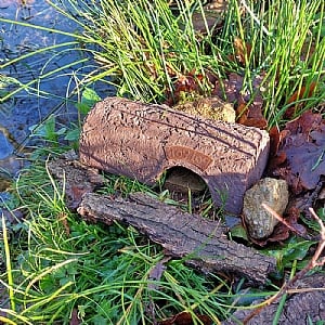 Wildlife World Simon King Frog Log