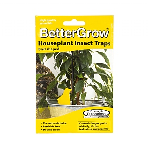 BetterGrow Houseplant Insect Traps (Pack of 15)