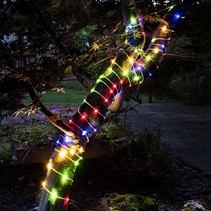 Smart Garden Smart String Lights Multi Coloured 200 LEDs